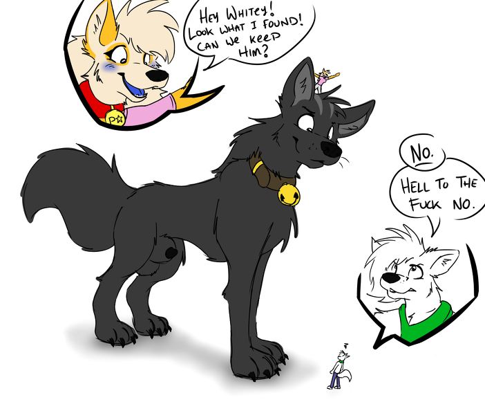 puppylennox